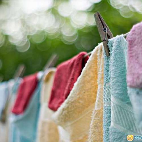 Minolta AF 50/1.7(鏡片95新)對焦準夾快，發色漂亮柔潤，全開極銳，啱A7系及SONY單反