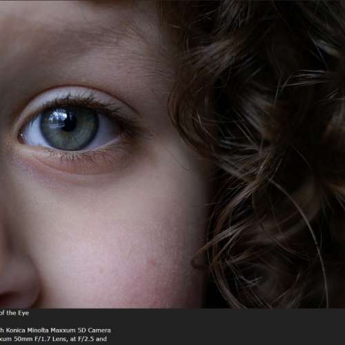 Minolta AF 50/1.7(鏡片95新)對焦準夾快，發色漂亮柔潤，全開極銳，啱A7系及SONY單反