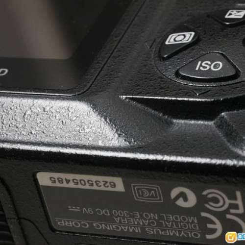 Olympus E300 E-300同 Leica M8一樣用柯達CCD 新淨 冇暗病 性能完美 即買即用 易映靚...