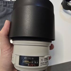 Canon 70-300mm L f4-5.6 有盒 無保 有遮光罩 好新淨
