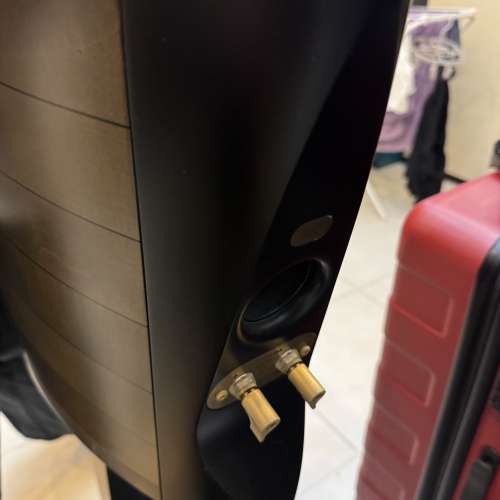 Sonus Faber Cremona Auditor speaker 連原裝腳架