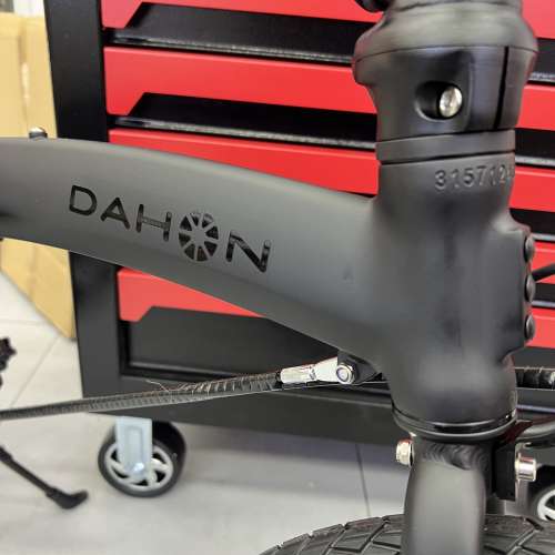 2025 車架平焊款 DAHON P10 (PAA003) 10速油剎 20吋鋁合金折叠車 送水架前後蛙燈叮叮