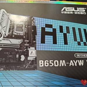 Asus 電腦主板