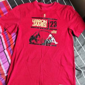 NBA LeBron James LBJ t-shirt