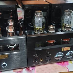 Cayin ha300 mk2