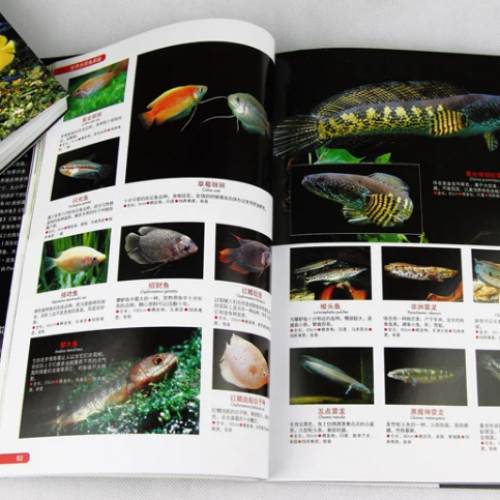 世界热带鱼图鉴   700种热带鱼饲养与鉴赏图典