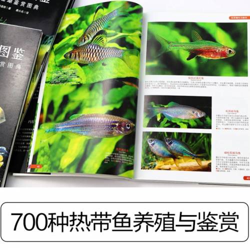 世界热带鱼图鉴   700种热带鱼饲养与鉴赏图典