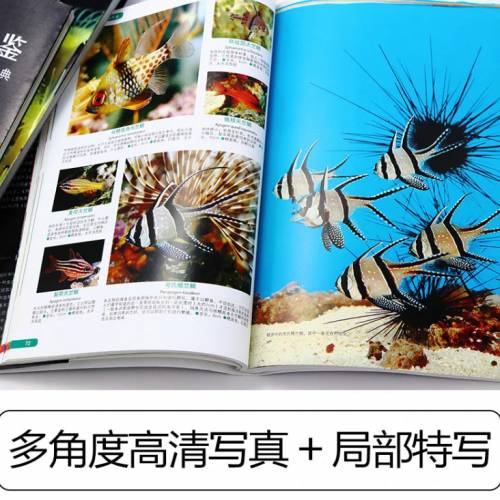 世界热带鱼图鉴   700种热带鱼饲养与鉴赏图典