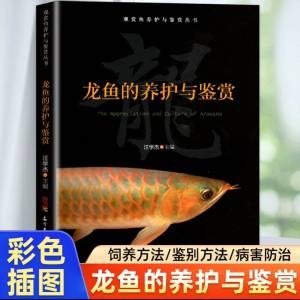 龍魚飼養圖鑑 金龍 銀龍 適用