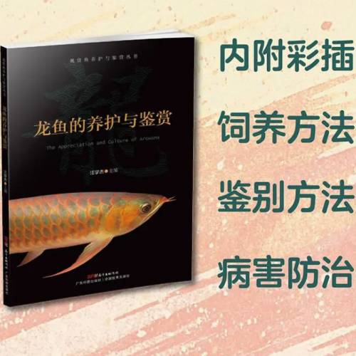 龍魚飼養圖鑑 金龍 銀龍 適用