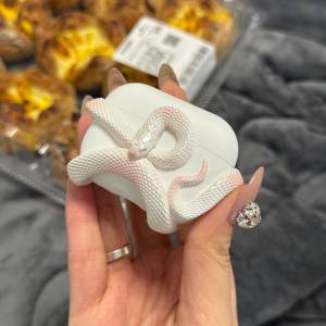 女仔自用 AirPods Pro 2 九成九新 功能全部正常 無刮痕 無損壞 盒子 充電線 耳塞配...