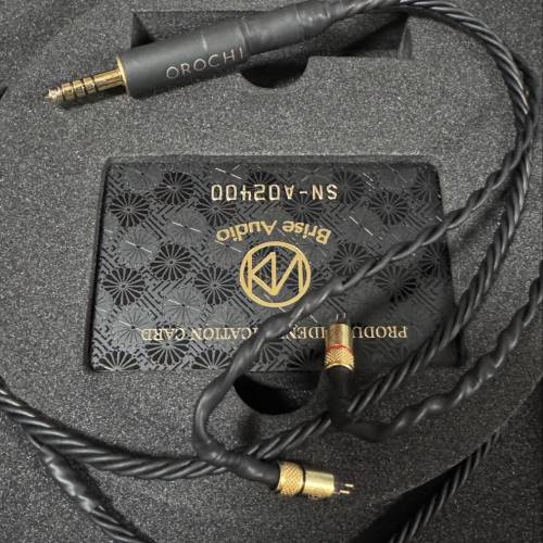 放 Brise Audio OROCHI-Ultimate 4.4 2pin/Cm