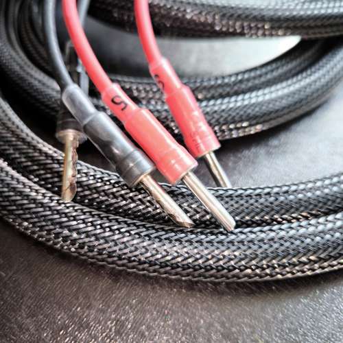 Accuracy speaker cable 喇叭線 (2.5m*2)