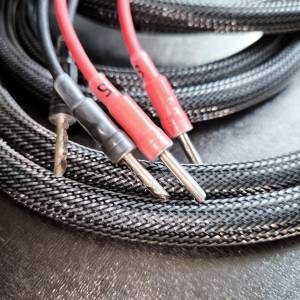 Accuracy speaker cable 喇叭線 (2.5m*2)