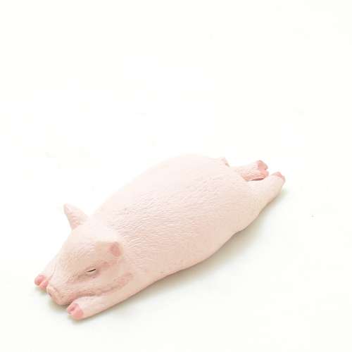 toys  玩具網上購物平台