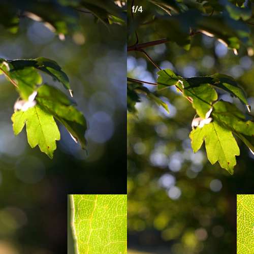 COSINA COSINON-S 50mm f1.4(M42)大光圈夢幻式散景映女神鏡