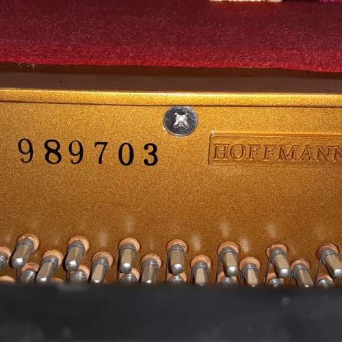 Hoffmann & Kuhne HG120S