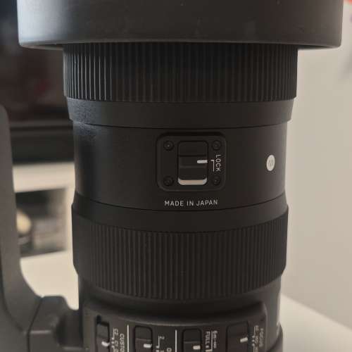 Sigma 60-600mm OS (Canon mount)