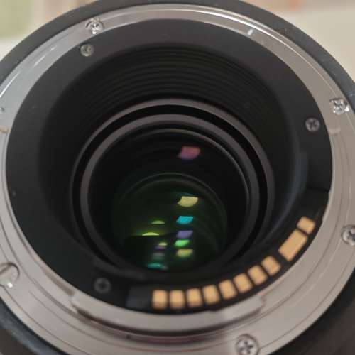 Sigma 60-600mm OS (Canon mount)