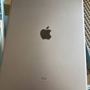 ipad pro 12.9 罕有 256gb大容量 wifi+ 4 G