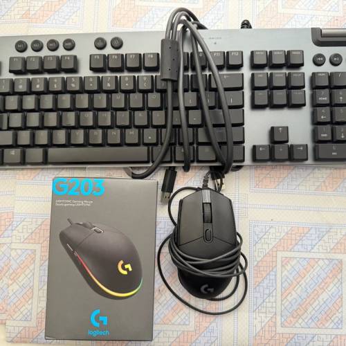 Logitech G813(紅軸) + G203
