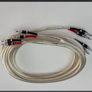 荷蘭 單晶純銀喇叭線 （全新 ） DIY