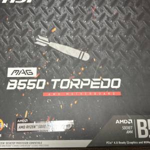 5600X + MSI  MAG B550 TORPEDO