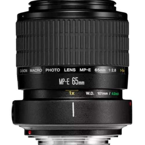 Canon MP-E 65mm f/2.8 1-5x Macro