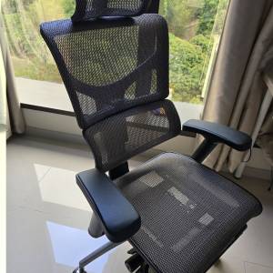 RIOLI-GJ R40 Pro RIOLI M 人體工學 電腦椅 辦公椅