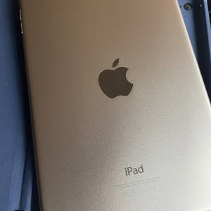 I pad mini 4 16GB LTE 4G Cellular