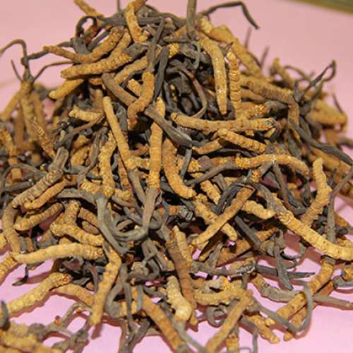 香港冬蟲夏草回收公司，高價收購蟲草燕窩花膠鮑魚海參