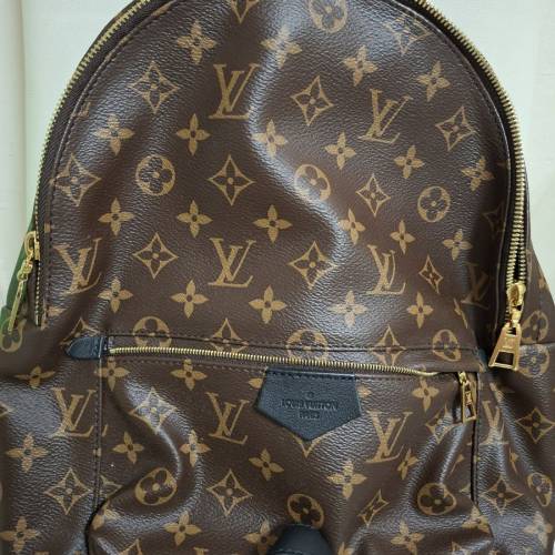 Louis Vuitton 二手手袋（背囊）