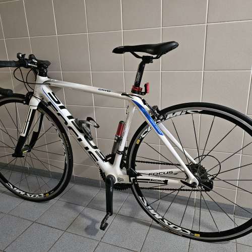 Focus Cayo Full Set Size 48 公路單車