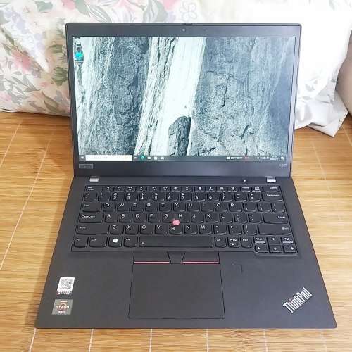 Lenovo ThinkPad X395