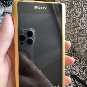 Sony wm1z 金磚1代