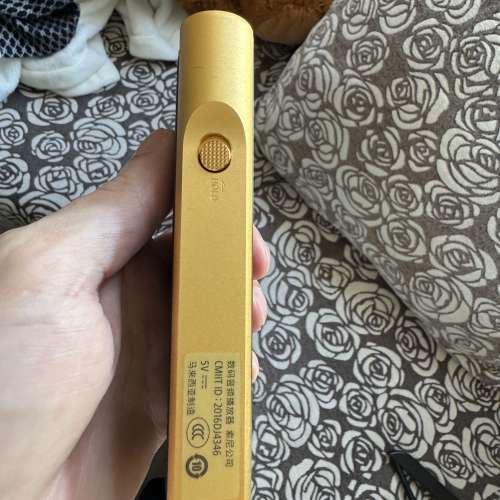 Sony wm1z 金磚1代