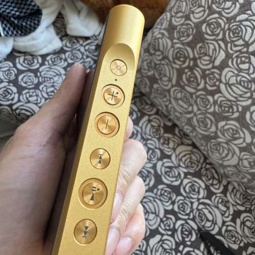 Sony wm1z 金磚1代