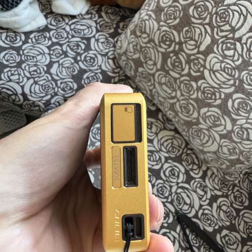 Sony wm1z 金磚1代