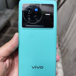 Vivo x80 12+256 淨機95新