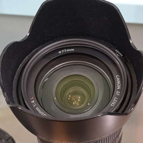 Canon 5D2 + 原廠直倒 + EF 24-105 F4L