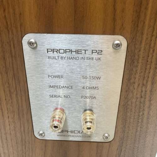 全新Ophidian Audio Prophet P2 Loudspeakers (Hand in UK)
