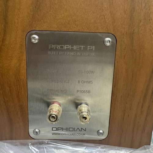 全新Ophidian P1 Evolution loudspeakers 書架喇叭 (hand made in UK)