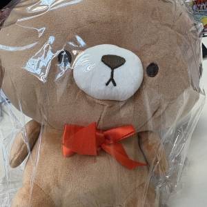 babe & teddy 日本熊仔大公仔
