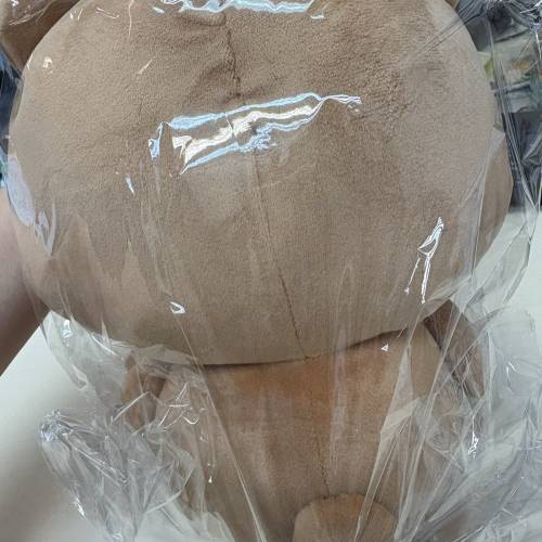 babe & teddy 日本熊仔大公仔