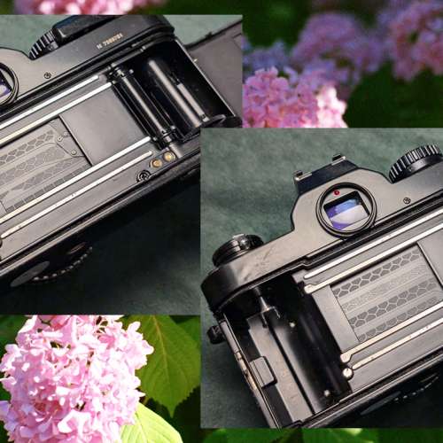 Nikon FM2 + Nikon 50mm f1.8 Series E