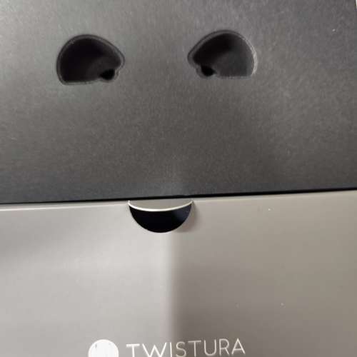 二手TWISTURA Woodnote 木振膜單圈耳機