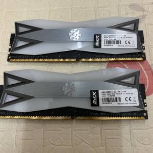 XPG DDR4-32G