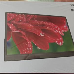 Aigo 14" 高色域便㩗顯示屏 FHD 16:10