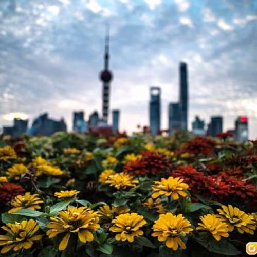 Olympus OM Zuiko 21/3.5 色靚銳利，最輕最細嘅玻璃21mm廣角，啱SONY A7(Nikon Z6)...