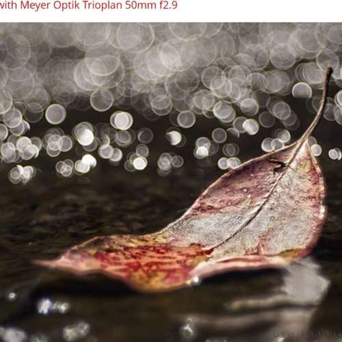 德國名牌 Beltica折疊小蛇腹，帶Meyer Optik Trioplan 50mm f2.9紅V 出名靚散景鏡頭...